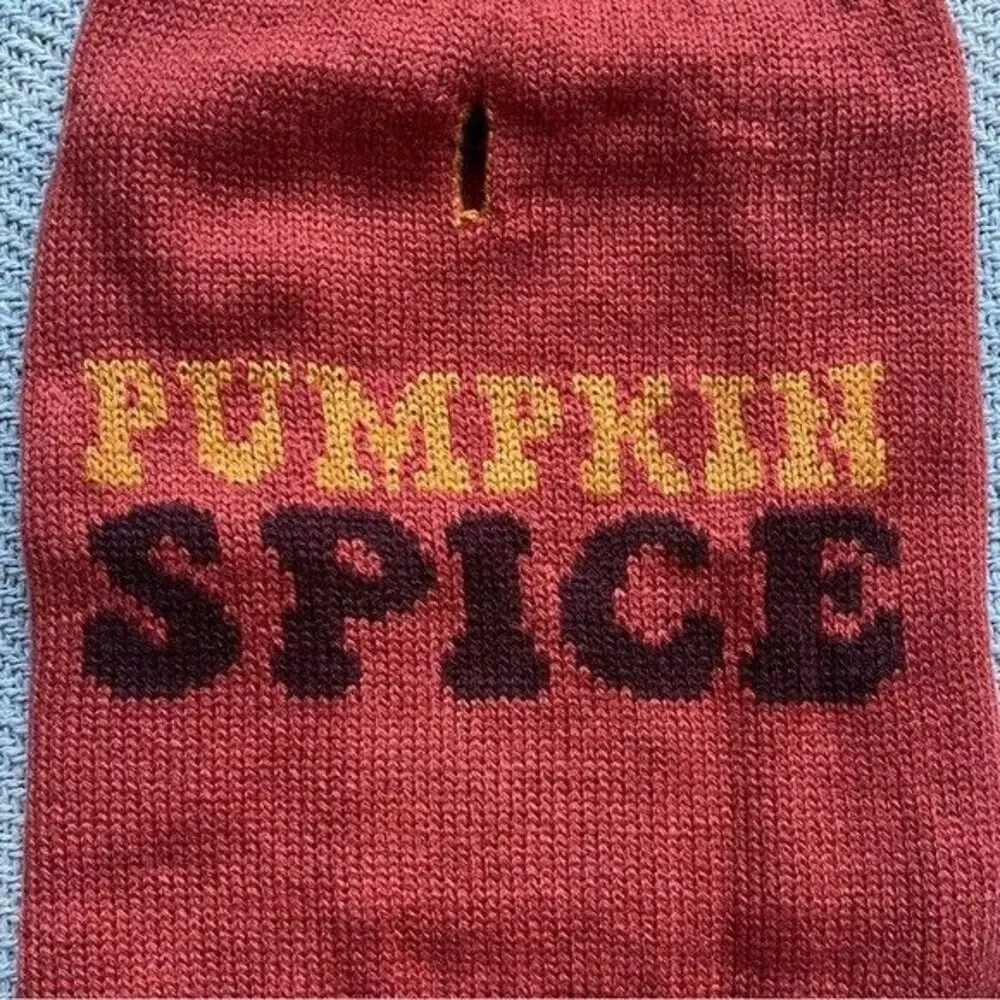 Pumpkin Spice Dog Pet Fall Sweater Size Medium NWT Halloween Costume Cozy Puppy